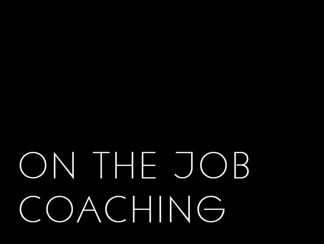 Ahaott On the Job Coaching
